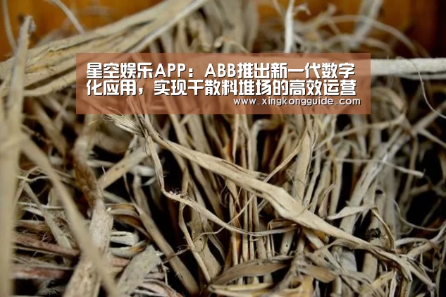 星空娱乐APP:ABB推出新一代数字化应用,实现干散料堆场的高效运营(图3) 星空娱乐APP