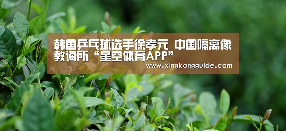 星空娱乐下载