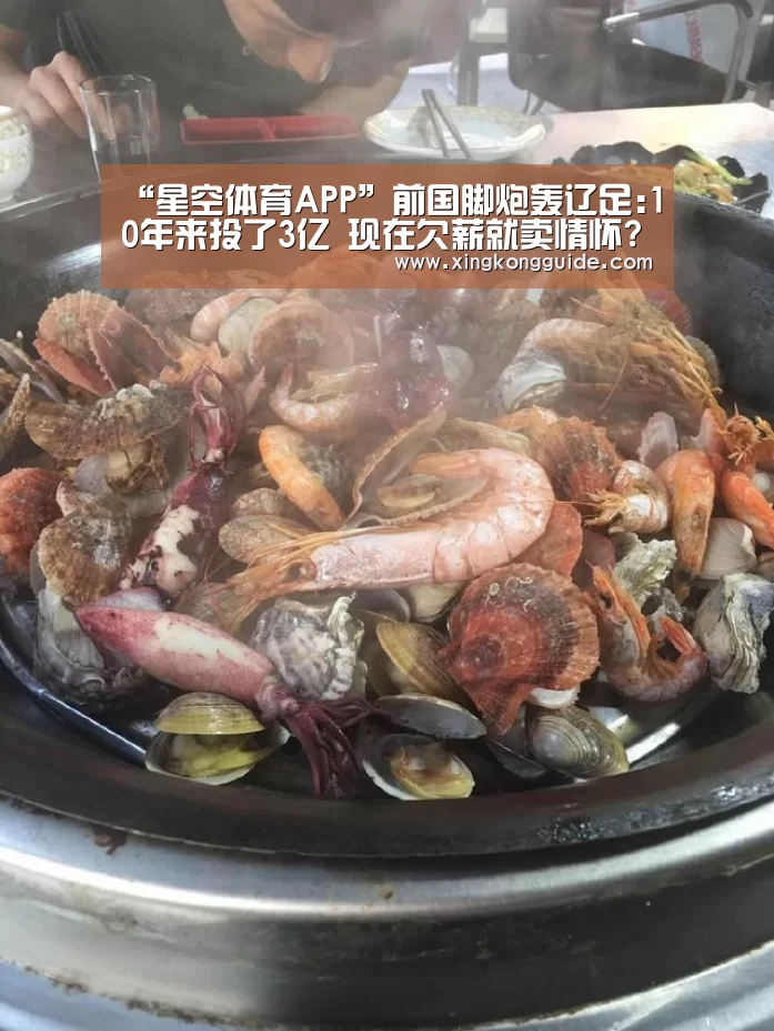 “星空体育APP”前国脚炮轰辽足:10年来投了3亿 现在欠薪就卖情怀?(图1) 星空娱乐下载