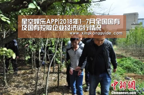 星空娱乐APP|2018年1-7月全国国有及国有控股企业经济运行情况(图1) 游戏星空网站