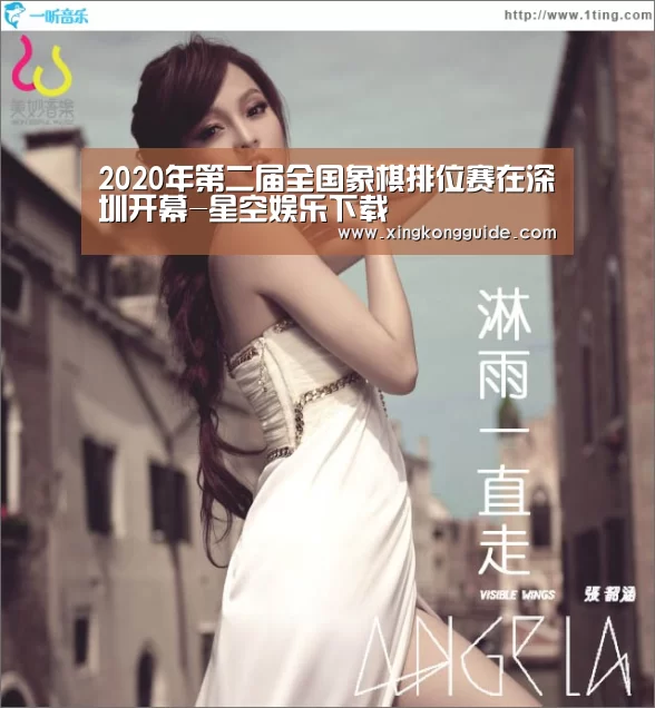 2020年第二届全国象棋排位赛在深圳开幕-星空娱乐下载(图1) 星空体育APP