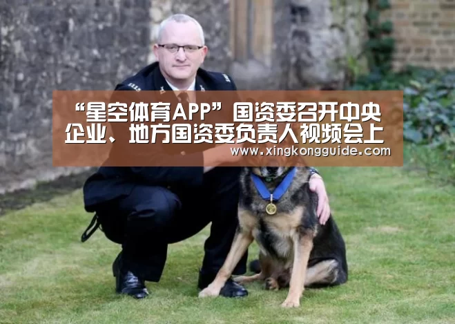 “星空体育APP”国资委召开中央企业、地方国资委负责人视频会上半年国资央企收入利润创历史同期最好水平(图1) 游戏星空网站