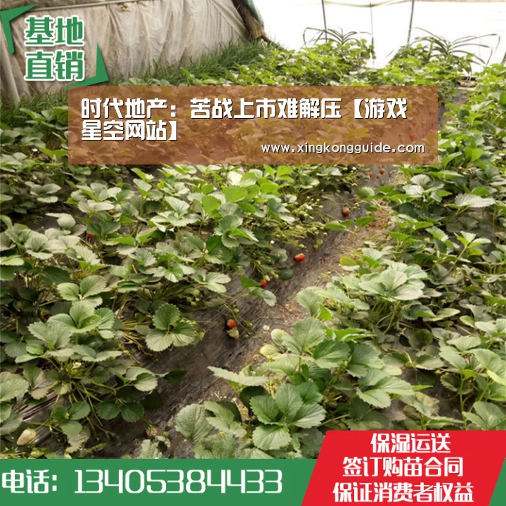 时代地产:苦战上市难解压【游戏星空网站】(图3) 星空体育APP