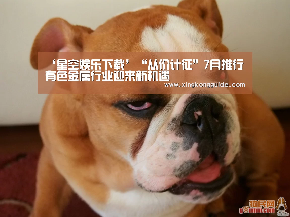 星空娱乐APP