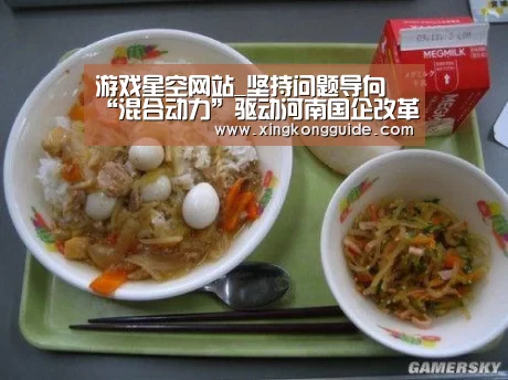 游戏星空网站_坚持问题导向 “混合动力”驱动河南国企改革(图4) 星空娱乐APP