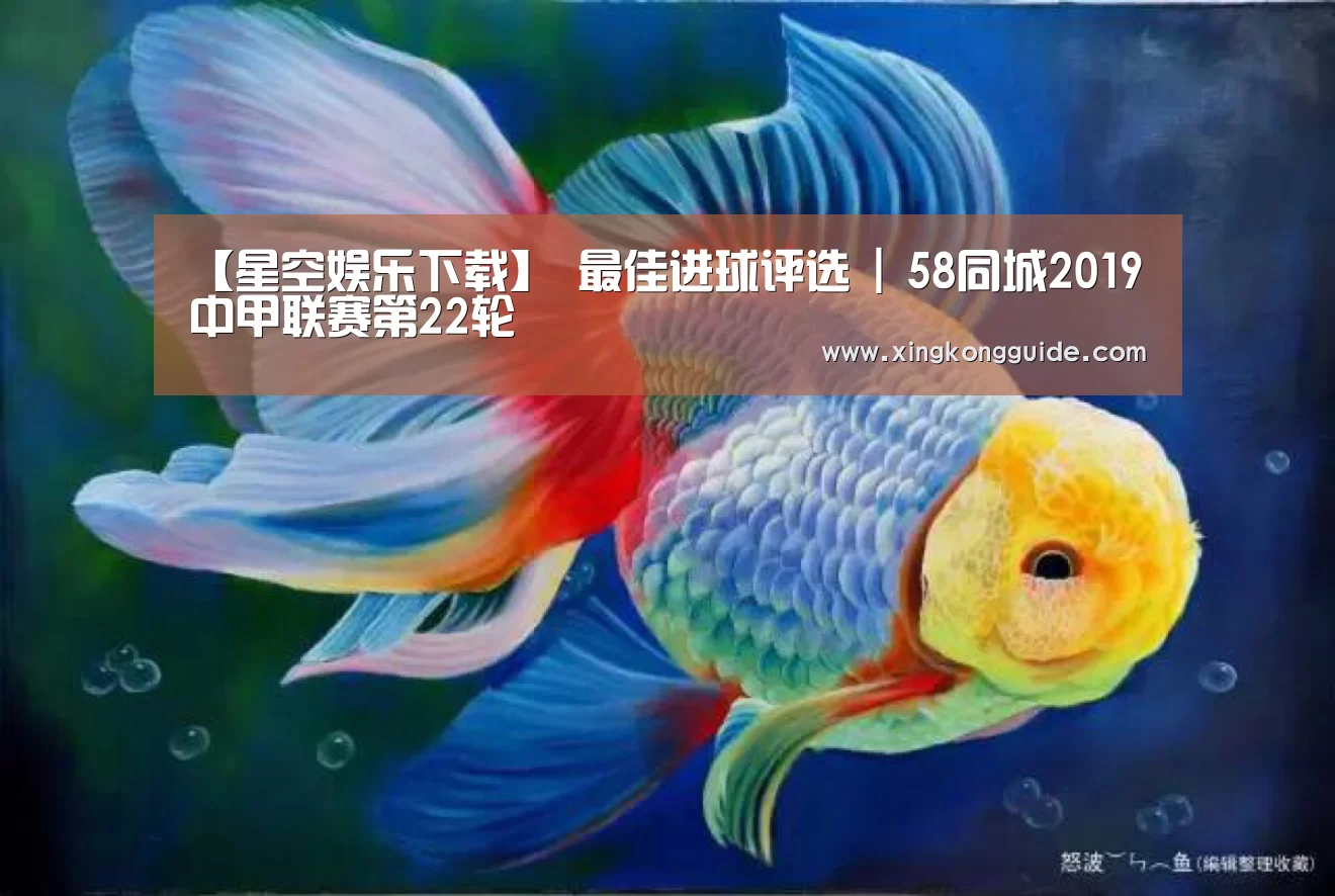 【星空娱乐下载】
最佳进球评选 | 58同城2019中甲联赛第22轮(图2) 星空娱乐下载