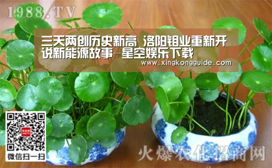 游戏星空网站