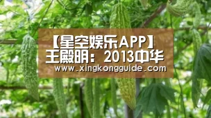 【星空娱乐APP】
王殿明:2013中华后代年度人物奖(图1) 星空娱乐APP