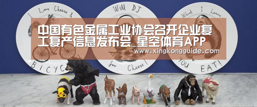 中国有色金属工业协会召开企业复工复产信息发布会_星空体育APP(图1) 星空娱乐APP