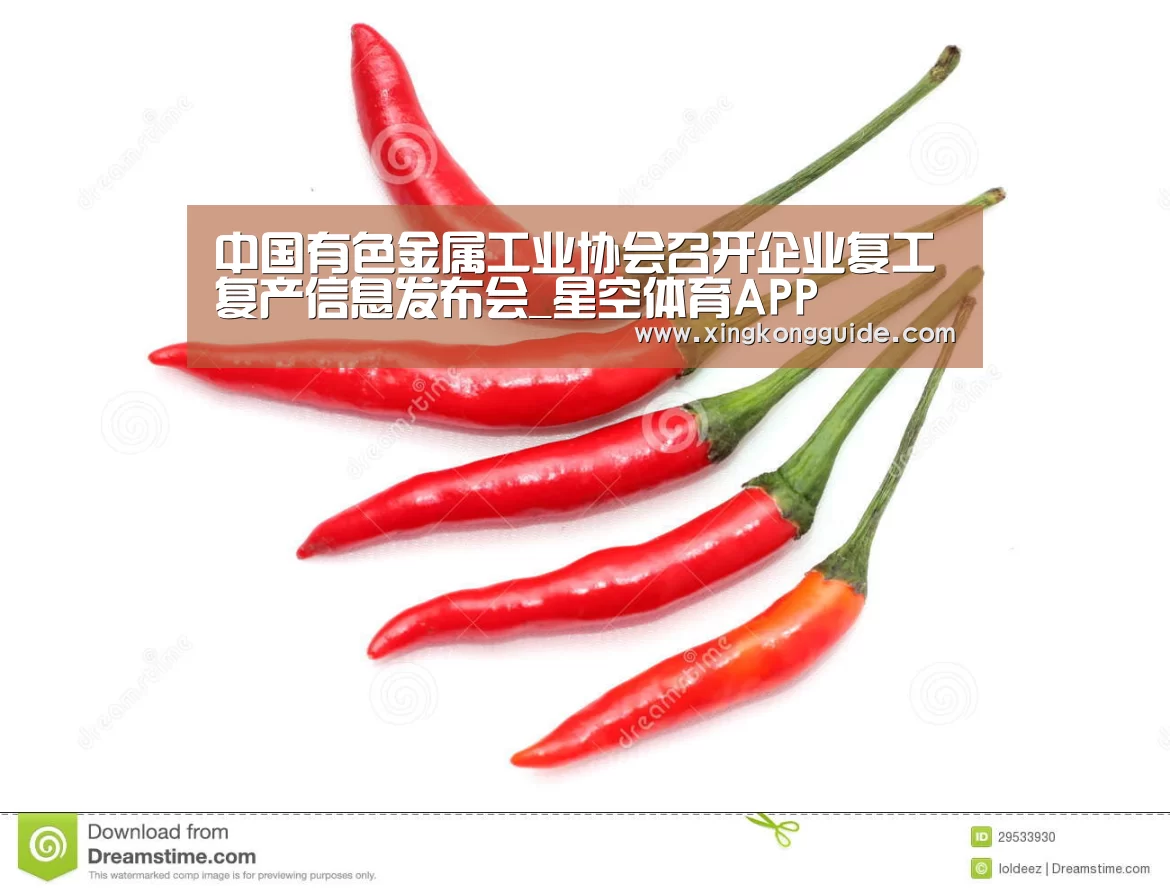 中国有色金属工业协会召开企业复工复产信息发布会_星空体育APP(图2) 星空娱乐下载