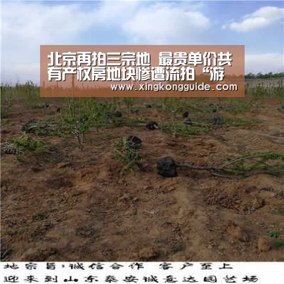 北京再拍三宗地 最贵单价共有产权房地块惨遭流拍“游戏星空网站”(图1) 星空娱乐下载
